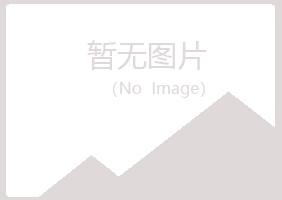 浙江晓夏采矿有限公司